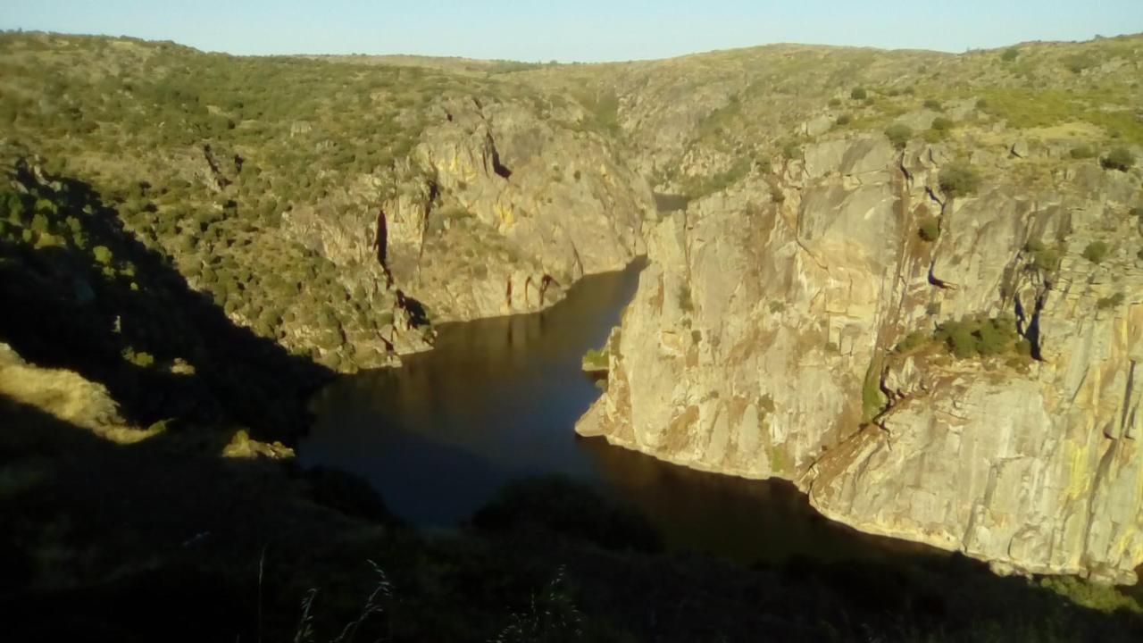 Flor Do Douro - Comercio E Hotelaria, Lda Миранда-ду-Дору Экстерьер фото
